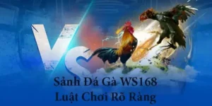 Sảnh Cược Đá Gà WS168 Tại 789Club Với Tỉ Lệ Thắng Vượt Trội