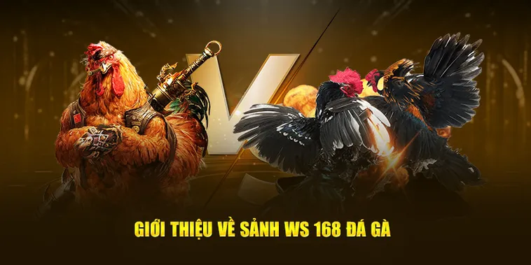 Sảnh Cược Đá Gà WS168 Tại 789Club Với Tỉ Lệ Thắng Vượt Trội